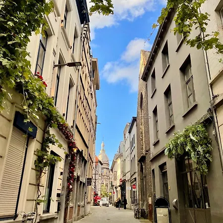 Apartment Flax - Charm And Comfort In Historic Center - New! *